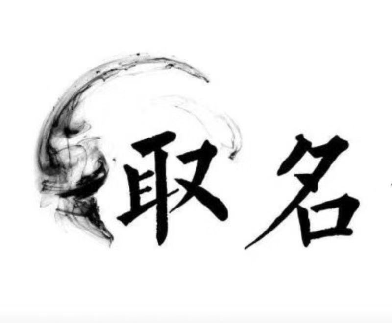  南乐宝宝取名 大师一对一人工起名